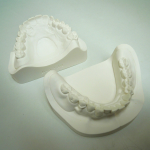 入れ歯模型